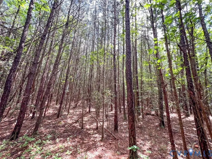 25.5 Acres Ladysmith Road, Ruther Glen, VA 22546 - #3