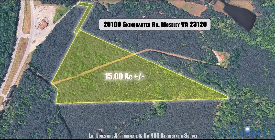 20100 Skinquarter Road, Moseley, VA 23120 - #1