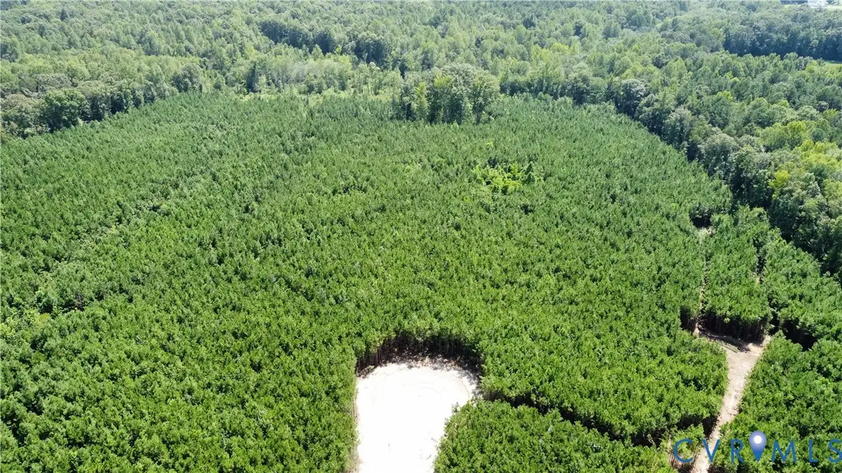 17554 (lot 3) Rock Canyon Road, Beaverdam, VA 23015 - #1