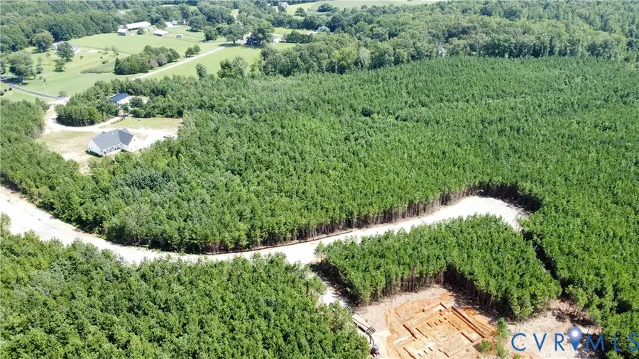 17566 (lot 2) Rock Canyon Road, Beaverdam, VA 23015 - #2