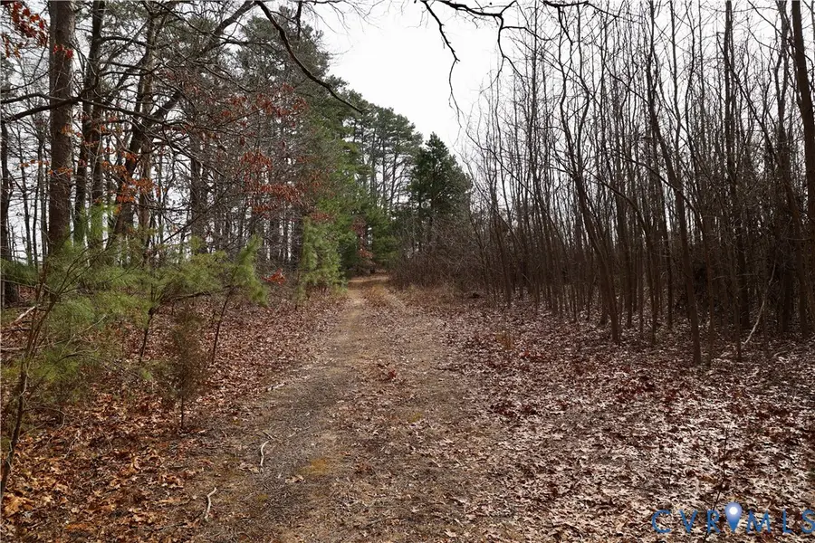 0 W Store Rd, Halifax, VA 24558 - #3