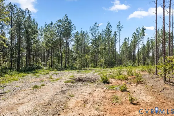 0 Algerene Rd, Drakes Branch, VA 23937