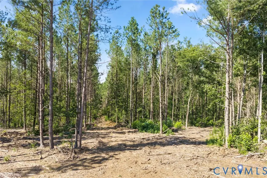0 Algerene Rd, Drakes Branch, VA 23937 - #2
