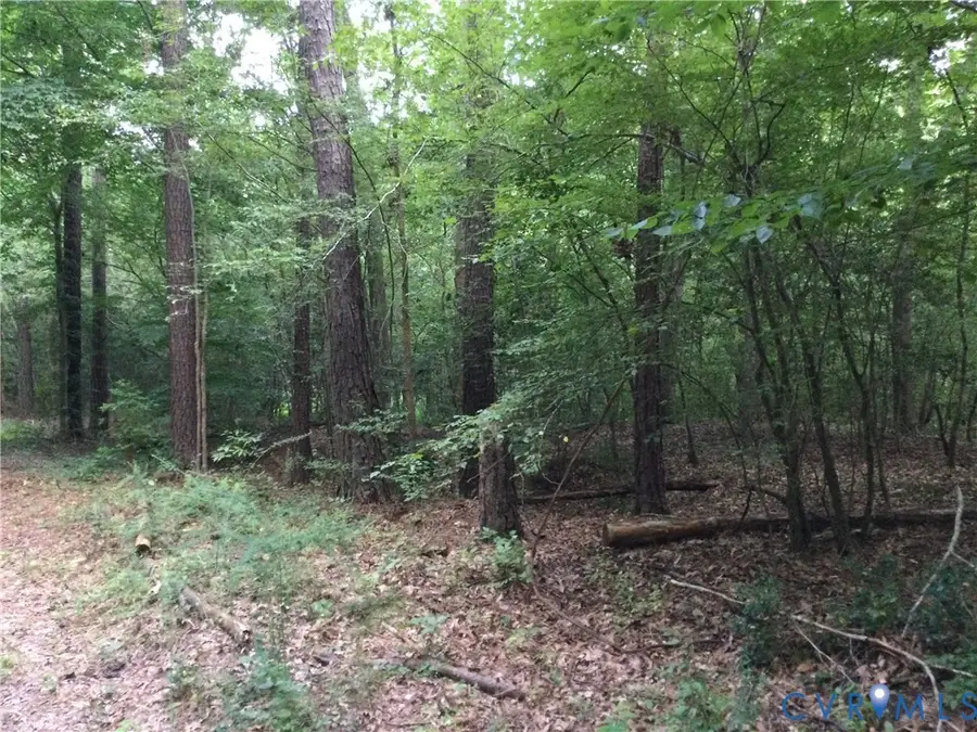 Address Withheld By Seller, Aylett, VA 23069 - #2