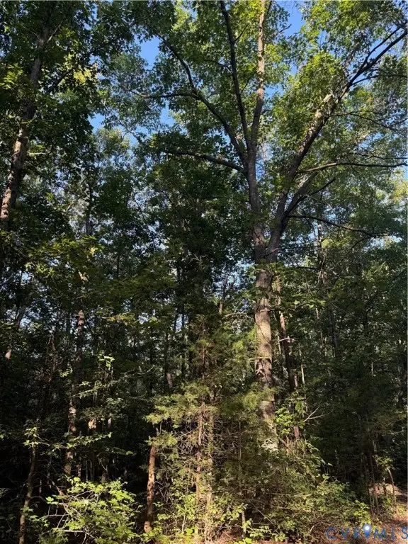 Lot 20 Foxbrook Lane, Louisa, VA 23093 - #2