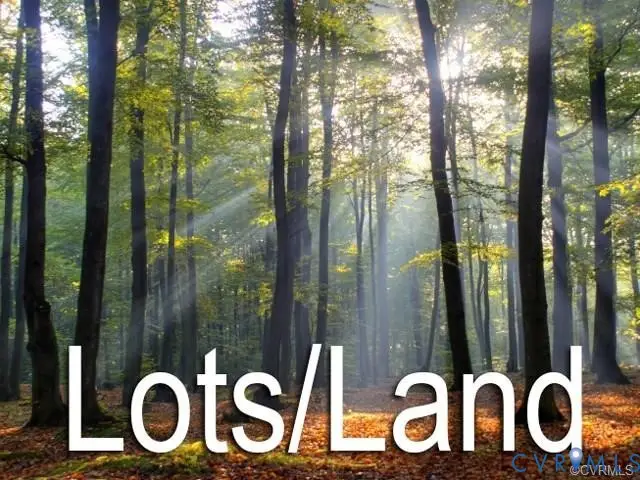TBD Triple Bridge Road, Waverly, VA 23890 - #1