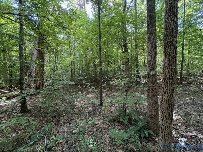 0 Roundabout Road, Louisa, VA 23093 - #1