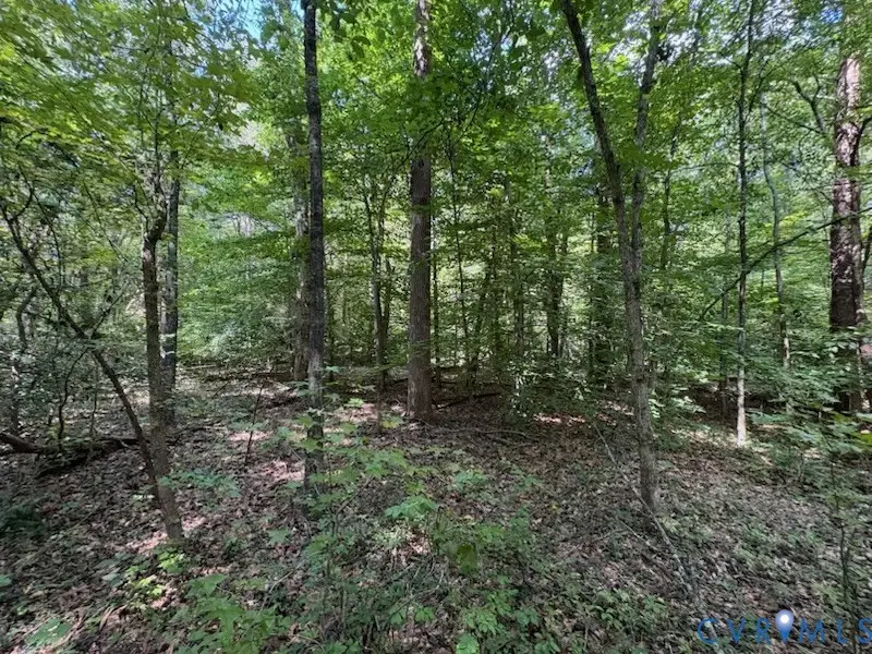 0 Roundabout Road, Louisa, VA 23093 - #3