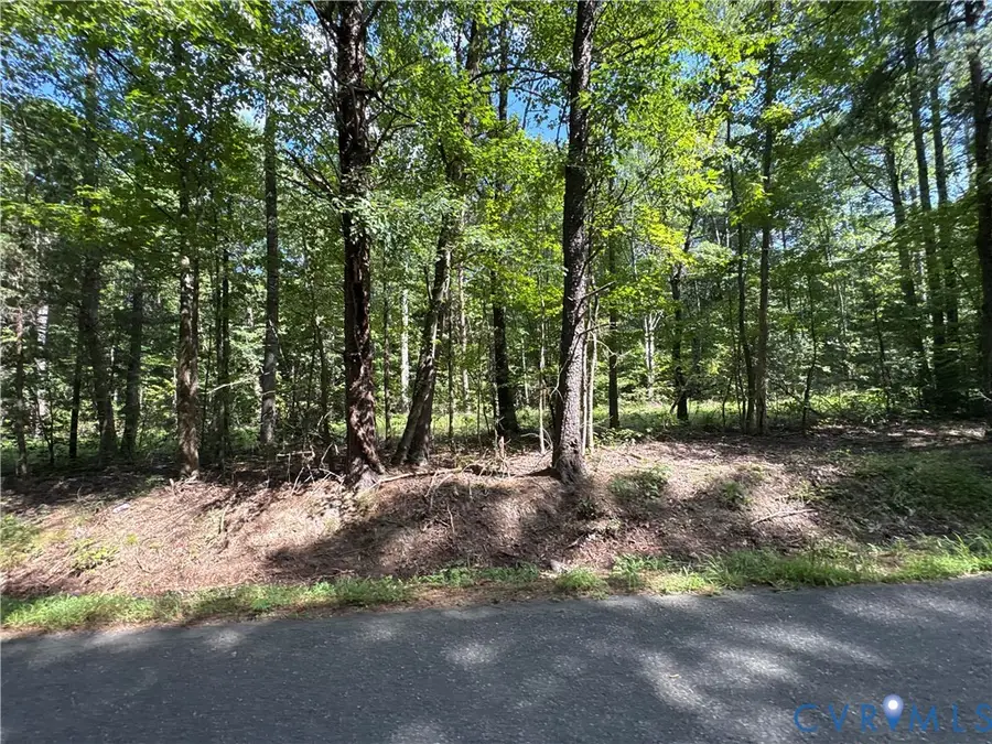 00 Roundabout Road, Louisa, VA 23093 - #3