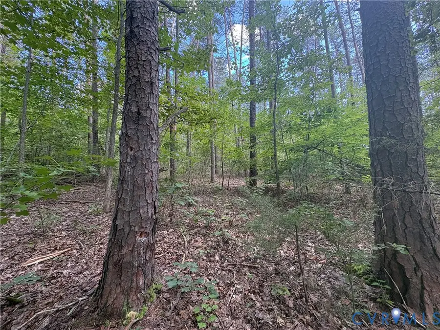 0 Bradshaw Road, Gum Spring, VA 23065 - #3