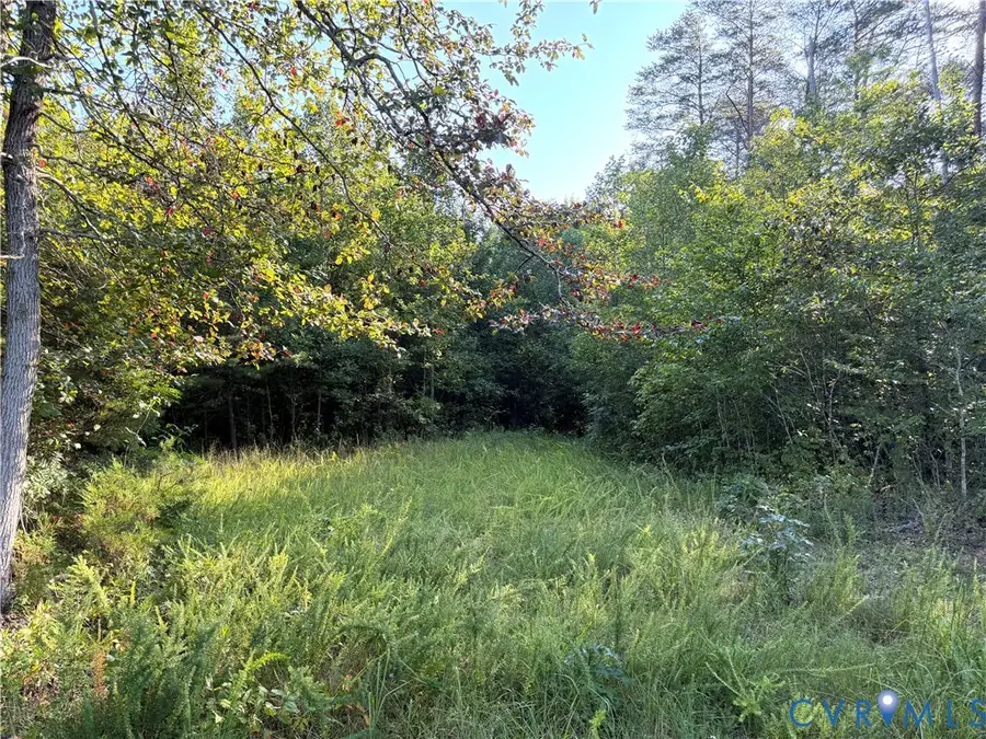 4877 Tabscott Road, Kents Store, VA 23084 - #2