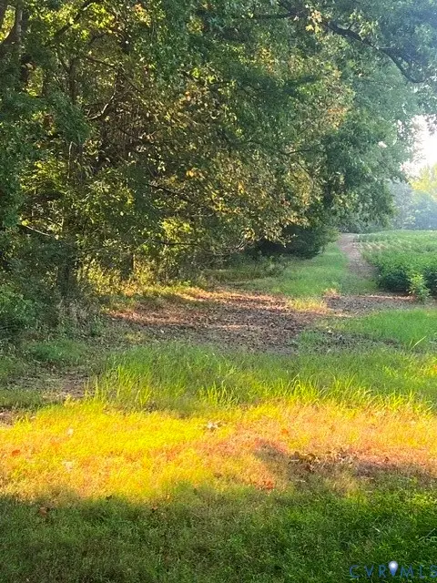 TBA Oakdale Road, Waverly, VA 23890 - #2