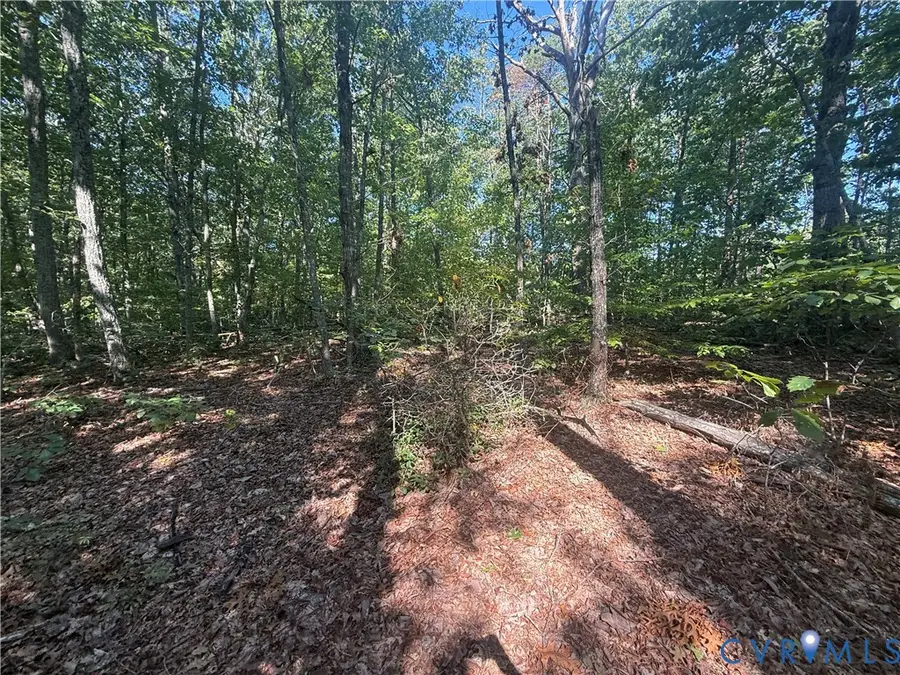 Lot 5 Dixie Hill Road, Buckingham, VA 23921 - #3