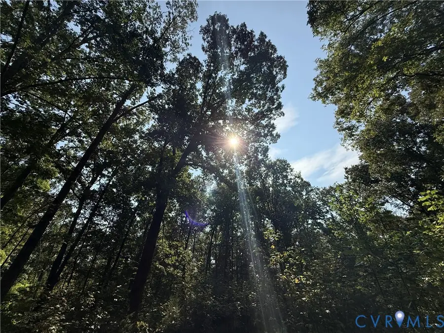 1198 Lickinghole Road, Goochland, VA 23063 - #2