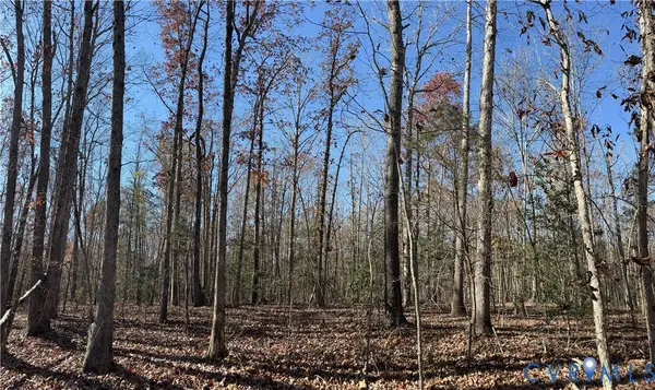 Lot 4 Diggstown Rd, Bumpass, VA 23024
