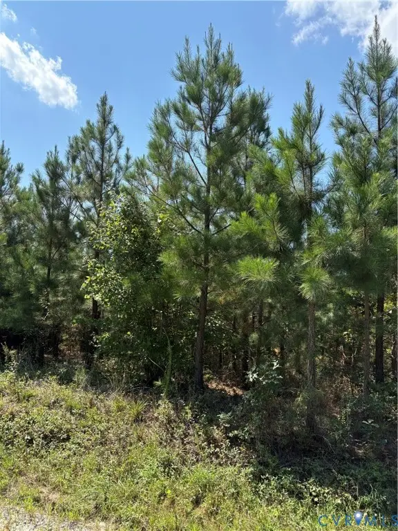 1 Maxey Mill, Cumberland, VA 23040 - #2