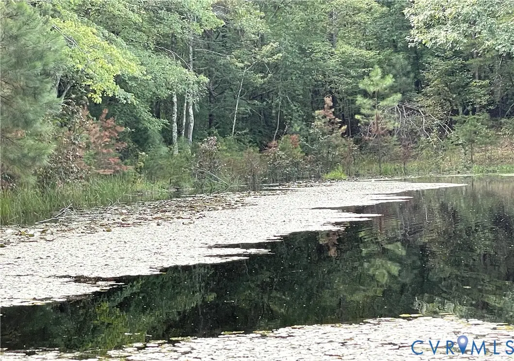 10.27 AC College Park Lane, Keysville, VA 23947 - #1