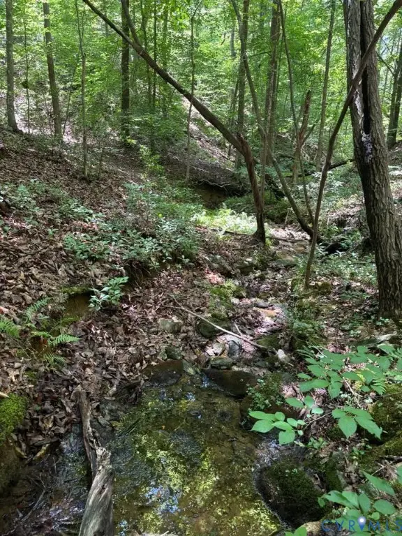 Lot 3 Red Bird Drive, Gladstone, VA 24553 - #2