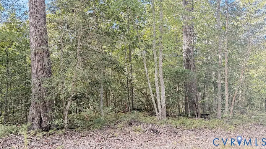 W.RoseGaerden rd W.garden Rd, King William, VA 23086 - #2