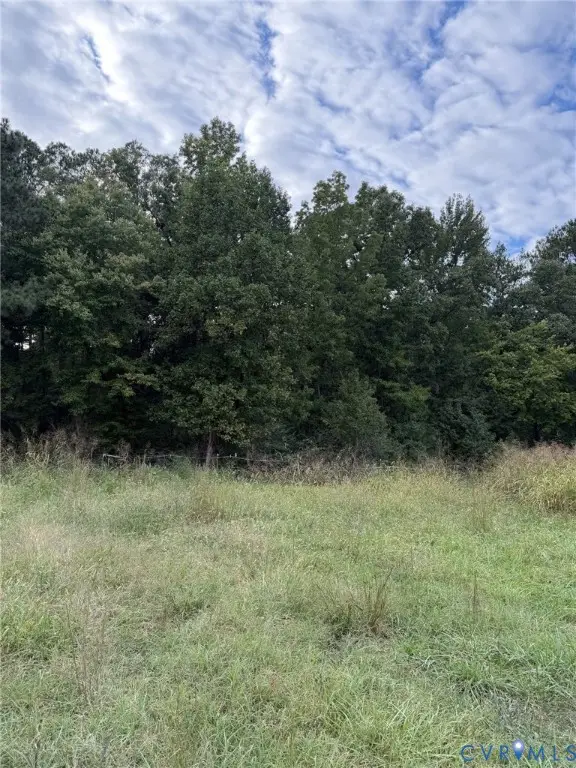 15203 Breedens Road, Doswell, VA 23047 - #3
