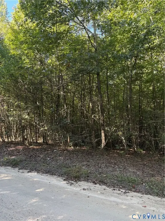 01 Doswell Town Road, Meherrin, VA 23954 - #1