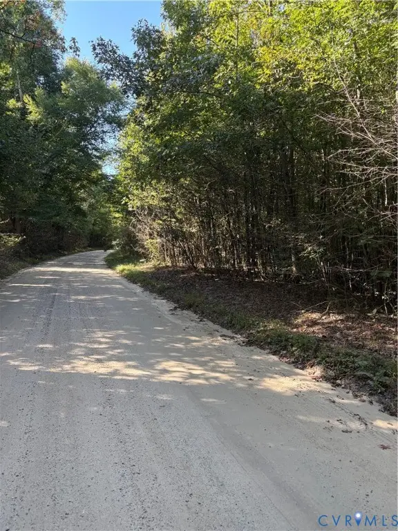 01 Doswell Town Road, Meherrin, VA 23954 - #2