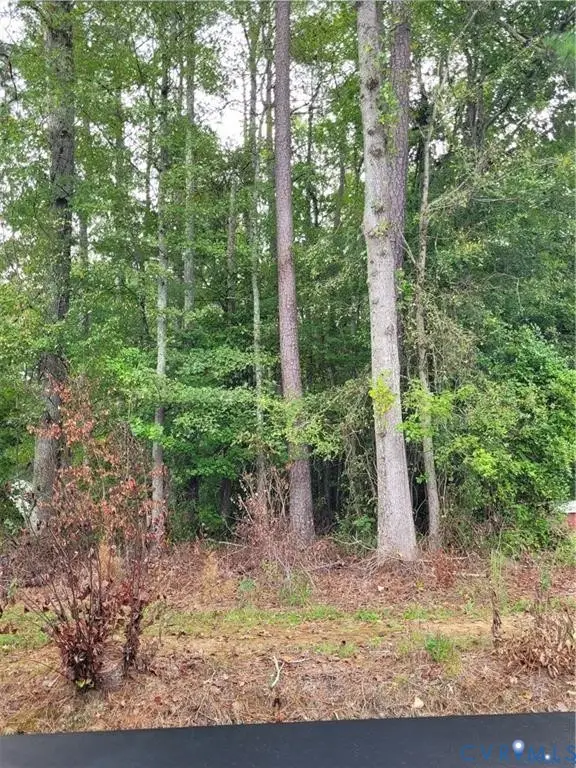 TBD09 Kimages Road, Charles City, VA 23030 - #2