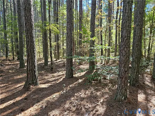 33.65 Acres Military Road, Amelia Courthouse, VA 23002