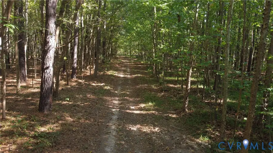 33.65 Acres Military Road, Amelia Court House, VA 23002 - #3
