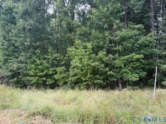14B lot Twin Bridges Road, Green Bay, VA 23942 - #2