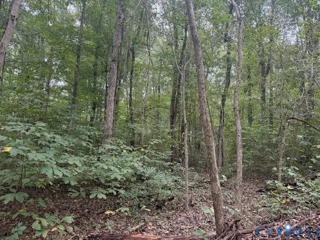 14B lot Twin Bridges Road, Green Bay, VA 23942 - #3