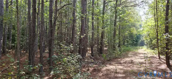 0 Mahixon Road, Manquin, VA 23106