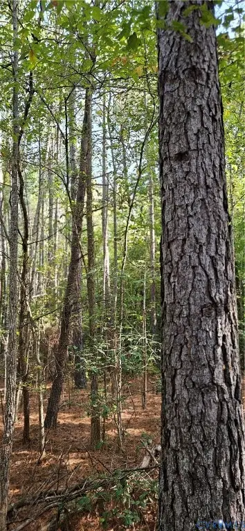 0 Mahixon Road, Manquin, VA 23106 - #3