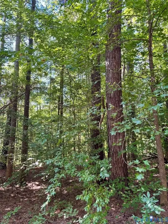 300 Happy Trail, Blackstone, VA 23824 - #2