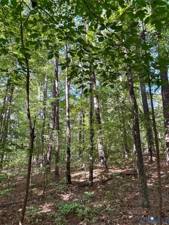 300 Happy Trail, Blackstone, VA 23824 - #3