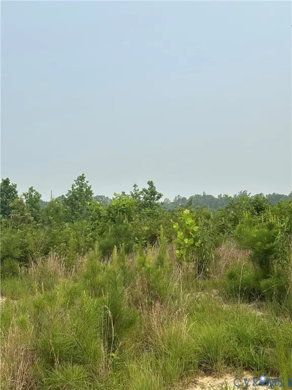 23258 (GPS ONLY) King William Road, Selma, VA 23181