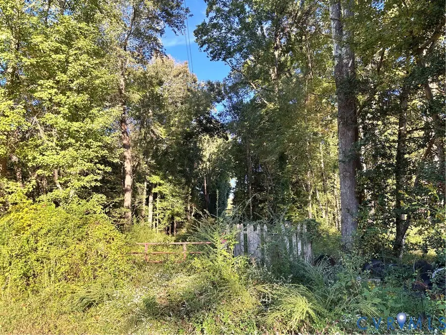 12217 Lewis Road, Chester, VA 23831 - #2