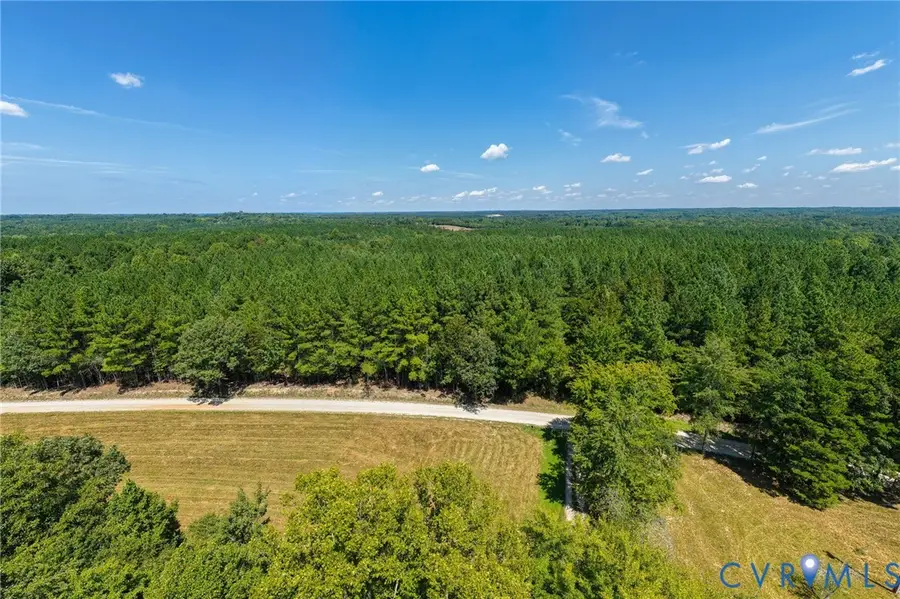 000 Davis Lowground Road, Keysville, VA 23947 - #2
