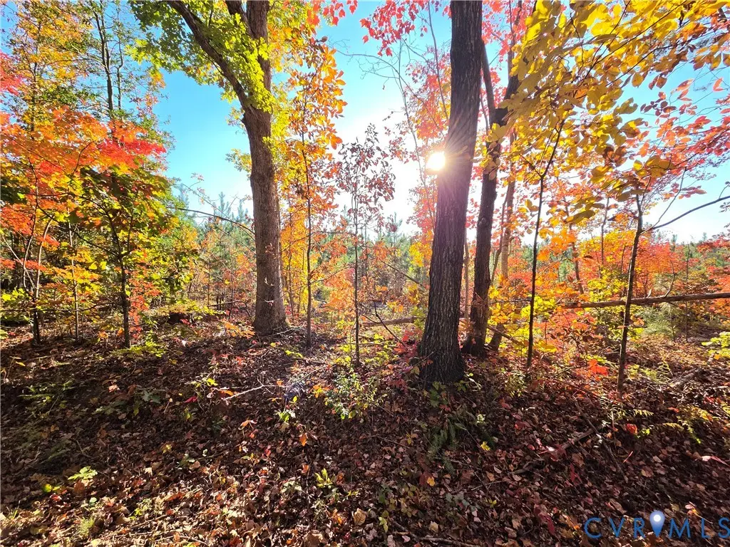 4.05Ac Penlan Road, Arvonia, VA 23004 - #1