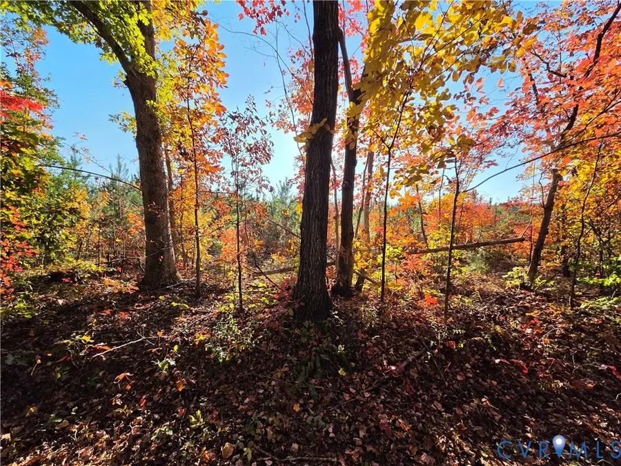 4.05Ac Penlan Road, Arvonia, VA 23004 - #2