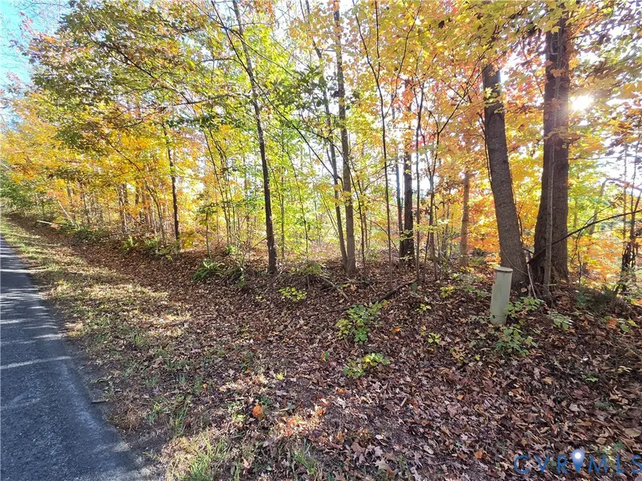 4.05Ac Penlan Road, Arvonia, VA 23004 - #3