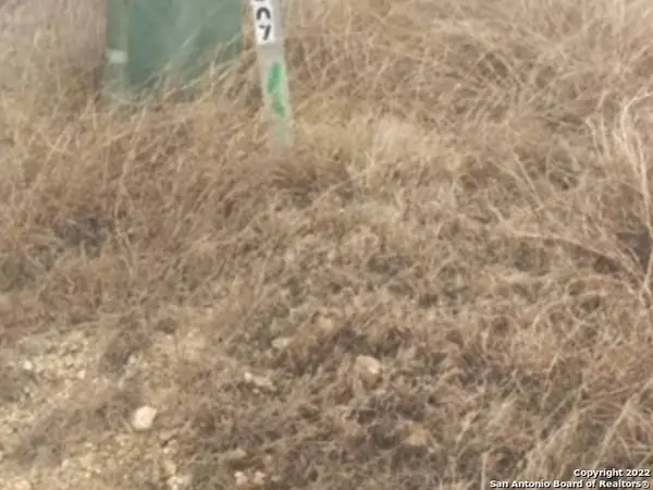 514 John Price, Blanco, TX 78606