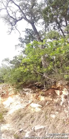 825 Rutherford, Fischer, TX 78623 - #2