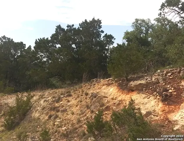 825 Rutherford, Fischer, TX 78623 - #3