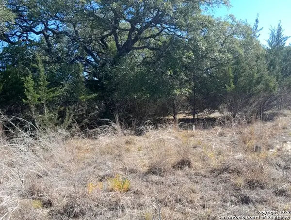 232 Hiram Cook, Blanco, TX 78606