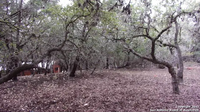 LOT 46 Mountain Wood, Canyon Lake, TX 78133 - #3