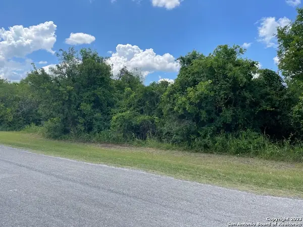 255 County Road 386, San Antonio, TX 78253