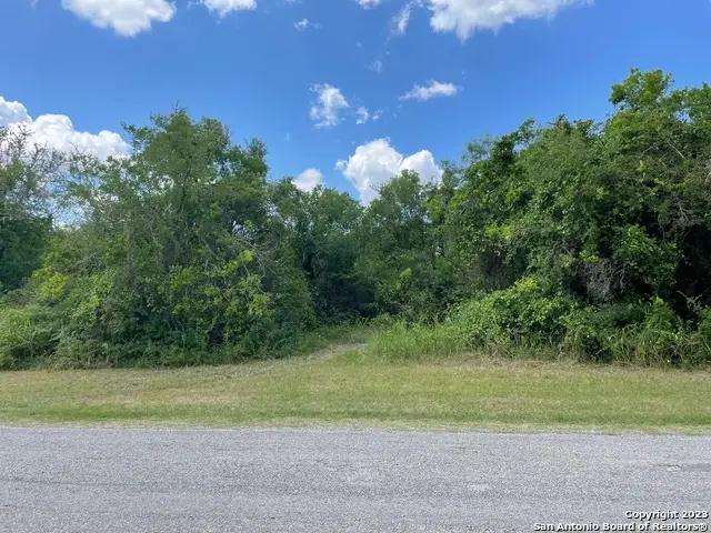 255 County Road 386, San Antonio, TX 78253 - #2