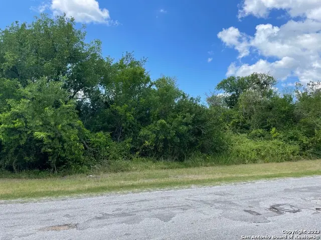255 County Road 386, San Antonio, TX 78253 - #3