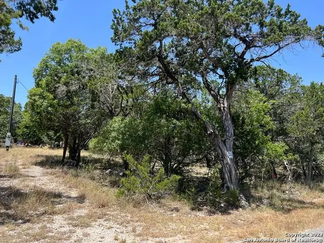 619 Cactus Flower, Canyon Lake, TX 78133 - #1